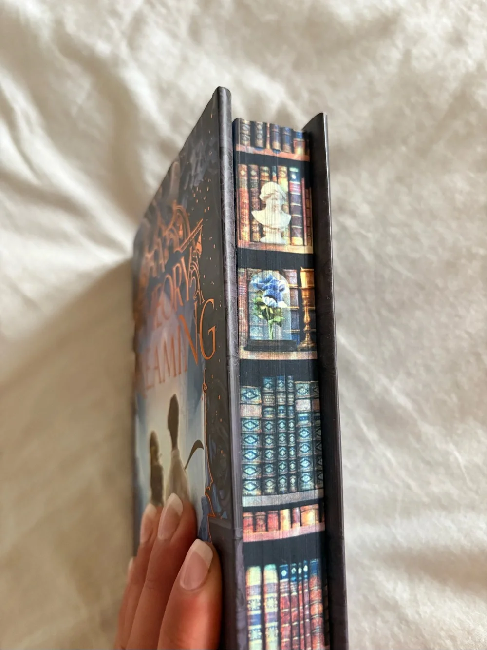 A Theory of Dreaming sprayed edge by Ava Reid NEW